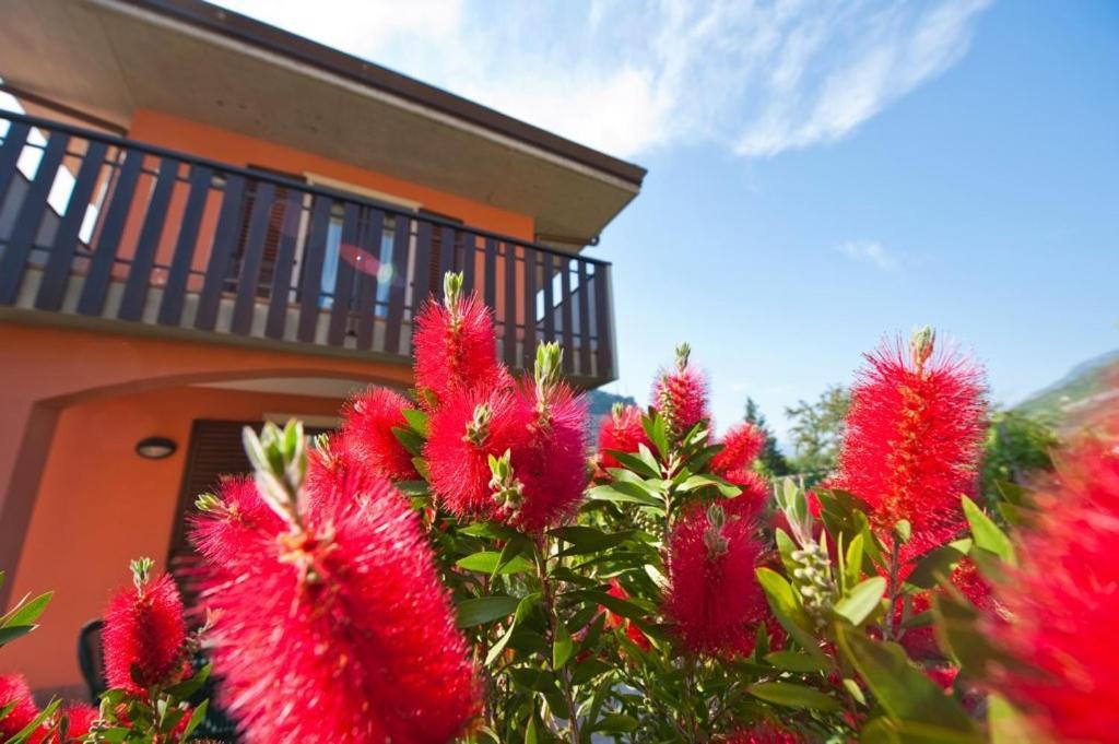 Casa Martinelli Apartman Torbole Sul Garda Kültér fotó